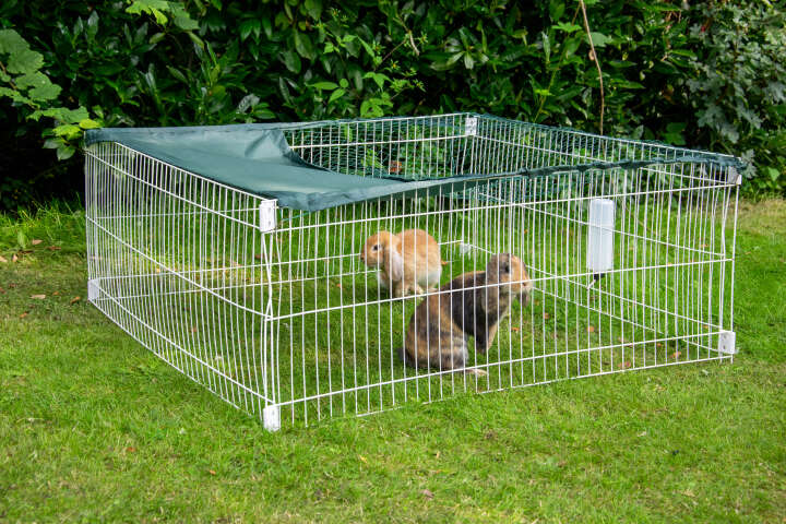 dobar Freilaufgehege mit Häuschen